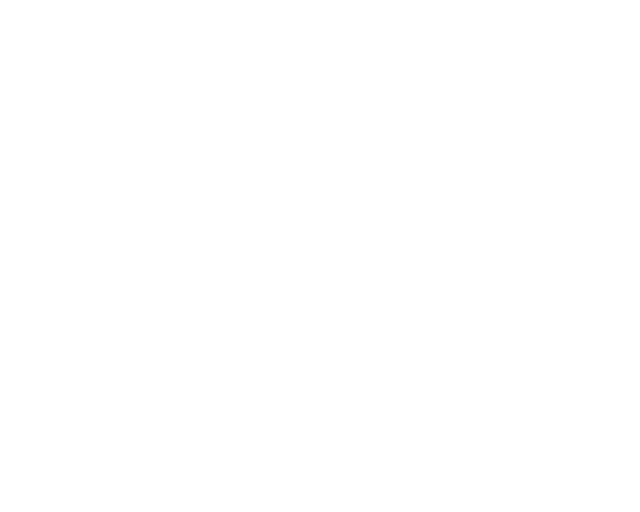 balanced scales icon